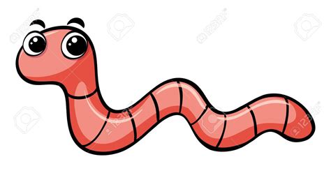  Bipalium: Can You Imagine A Worm That Hunts Like a Snake?!