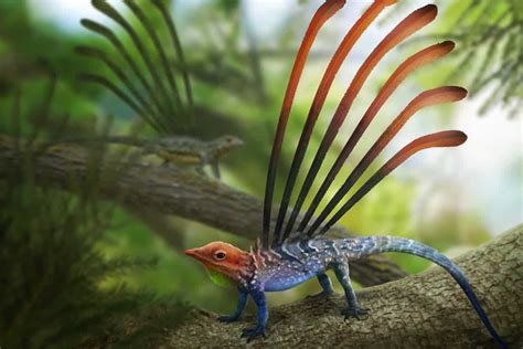  Umami Lizards: These Prehistoric-Looking Reptiles Pack More Flavor Than You Think!